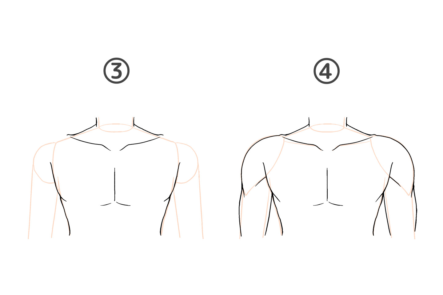 正面の肩を描いてみよう　手順3，4