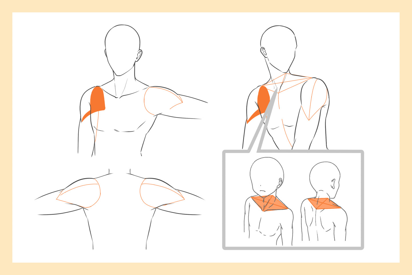 様々なポーズの紹介
