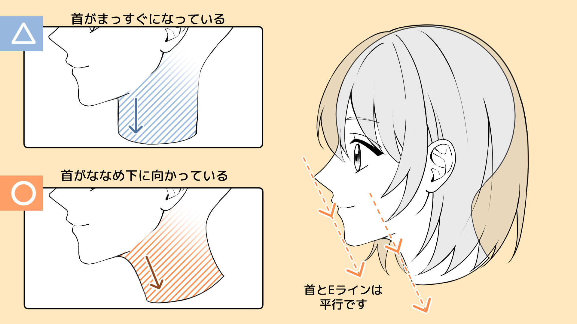 失敗例3、首がまっすぐになっている