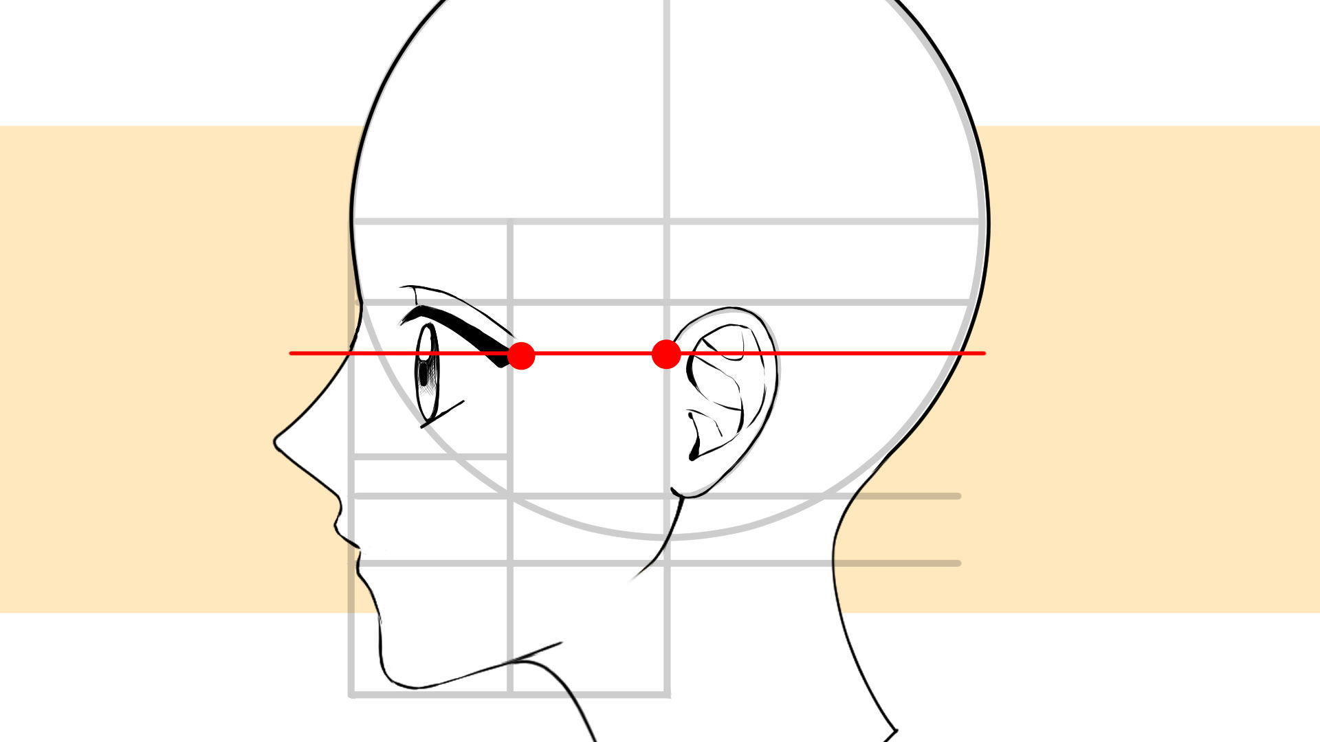 横顔の耳を描こう