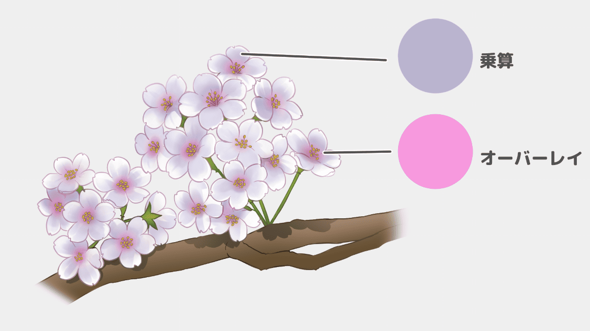 色を塗ってみよう