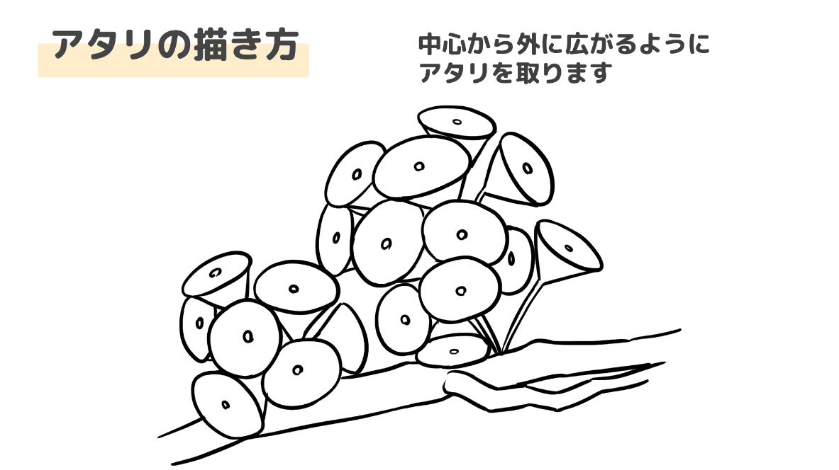 アタリの描き方