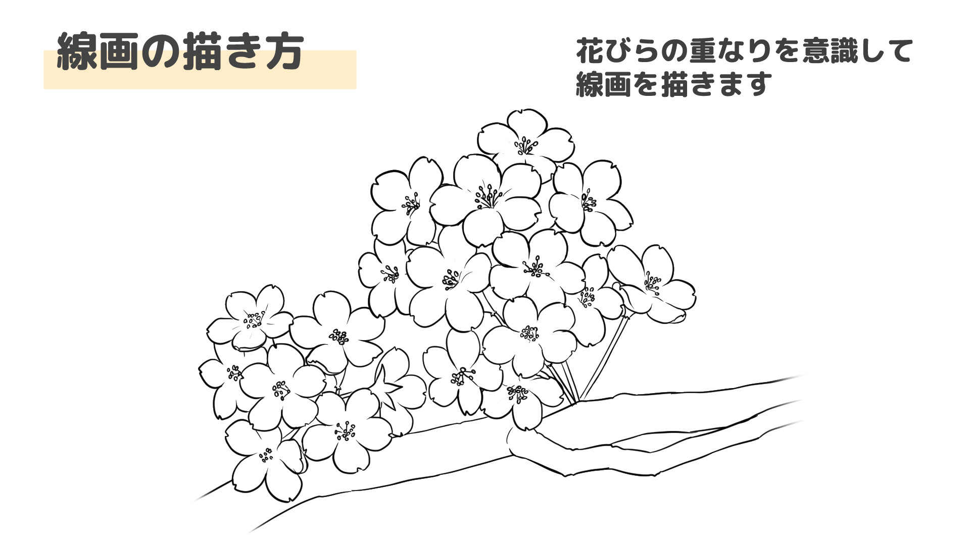 桜の花の線画を描こう