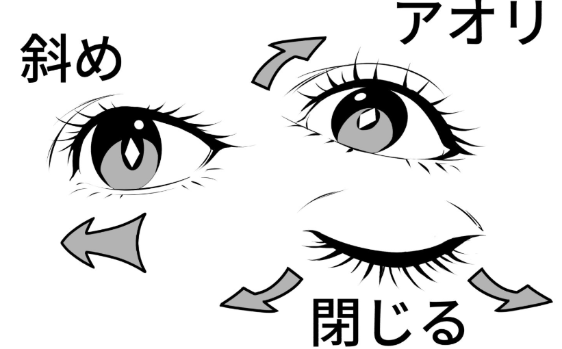 さまざまな角度から見た目のイラスト