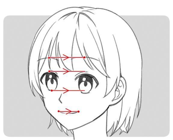 顔パーツに補助線を描いたイラスト