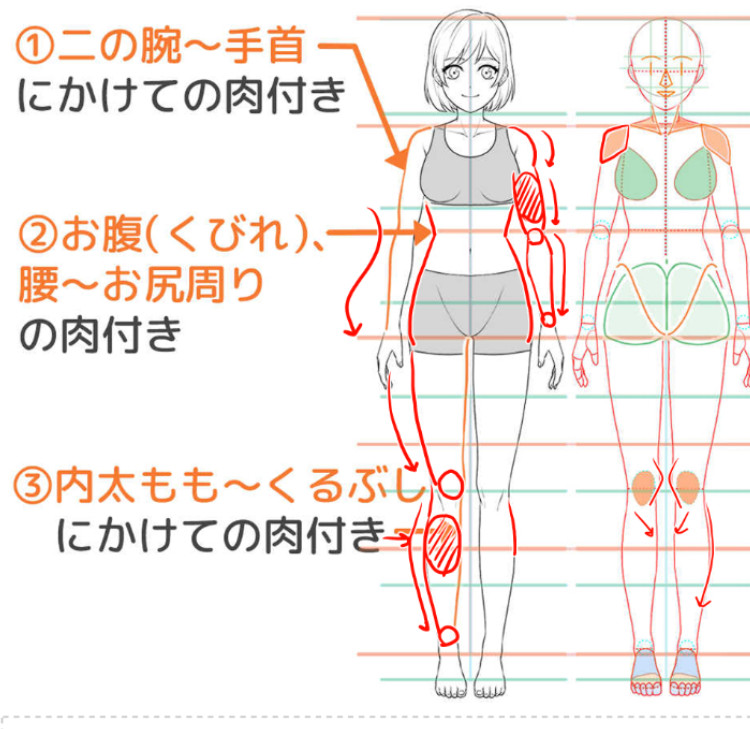 体