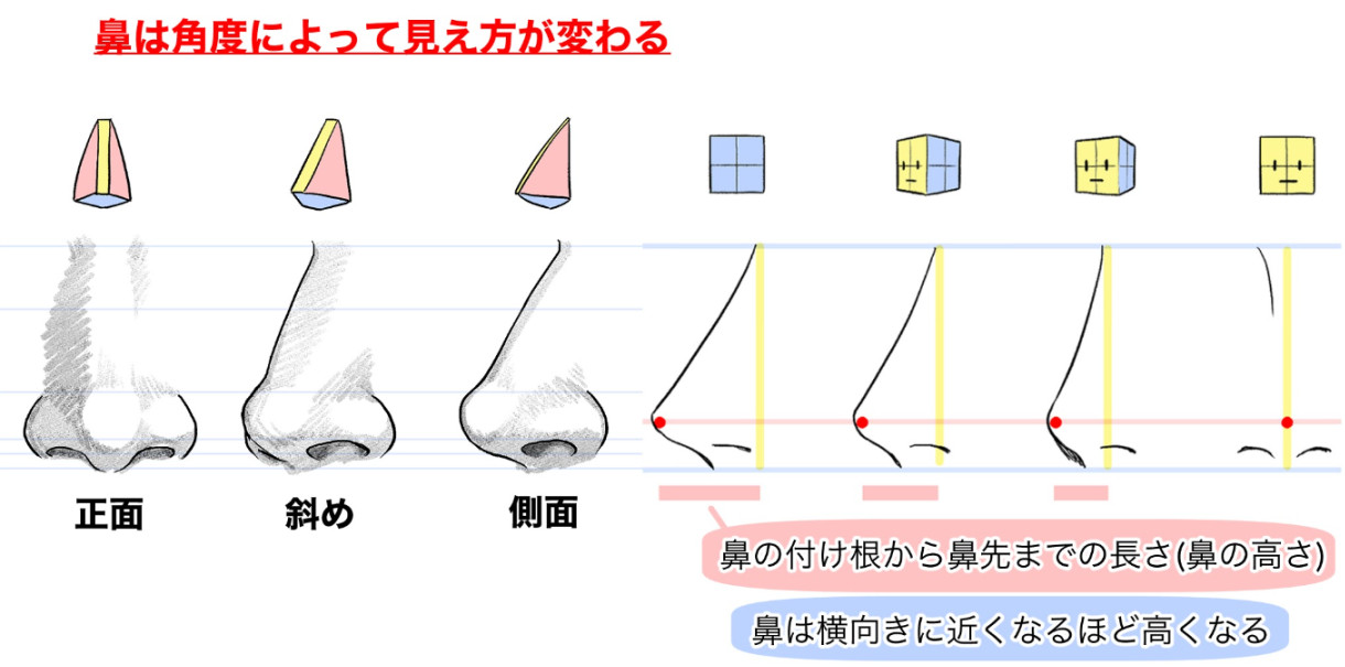 鼻