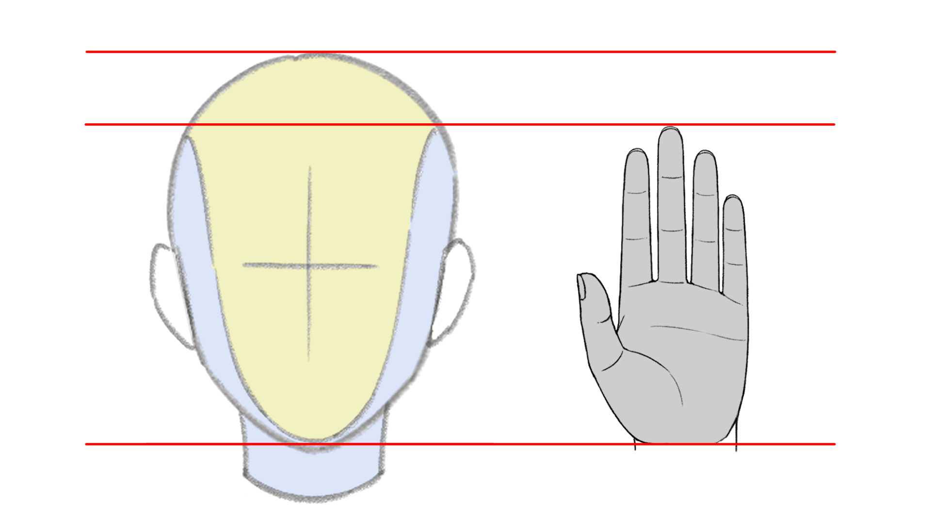 手の大きさを知ろう