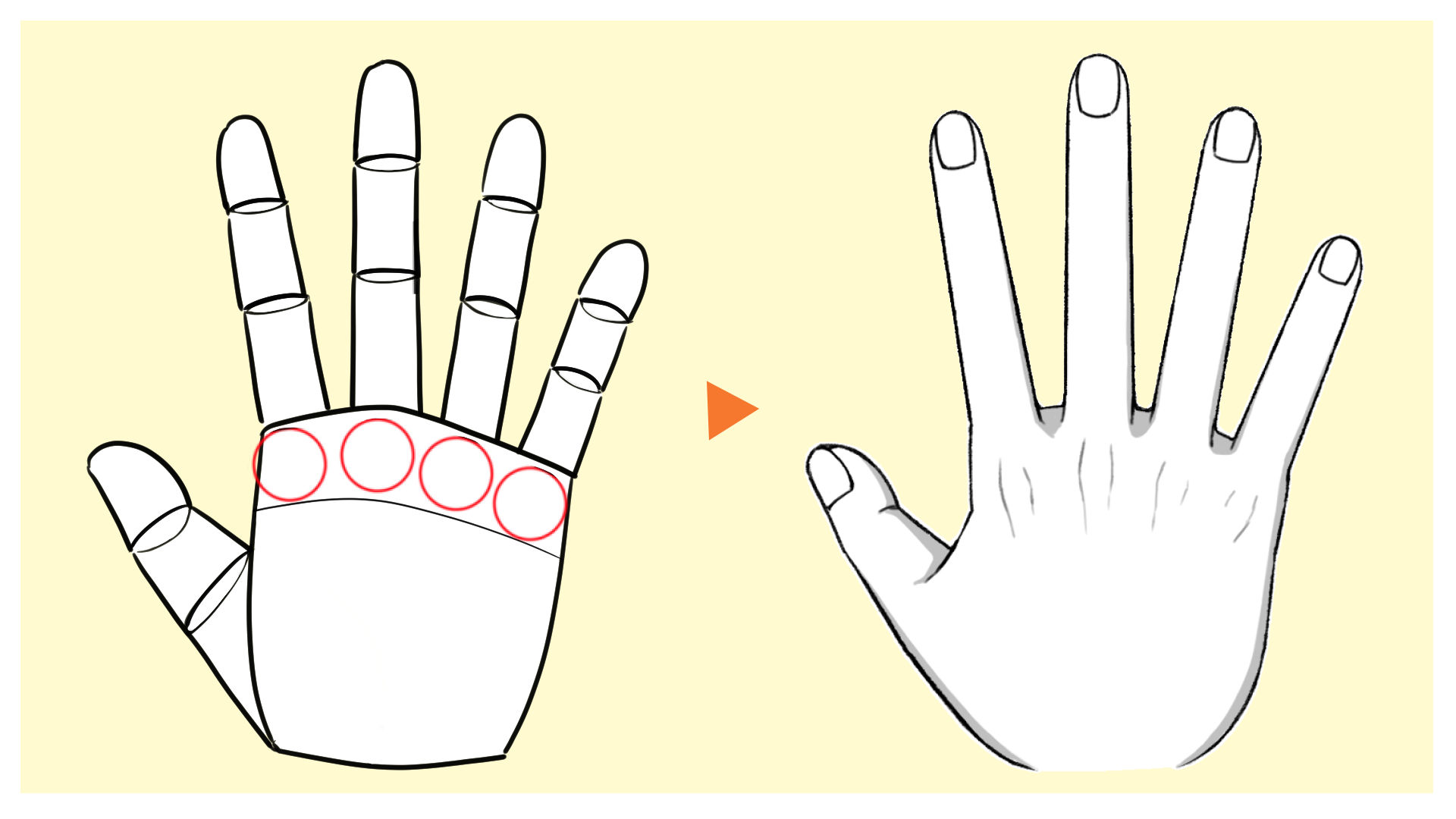 手の甲側から見たときの線画の描き方