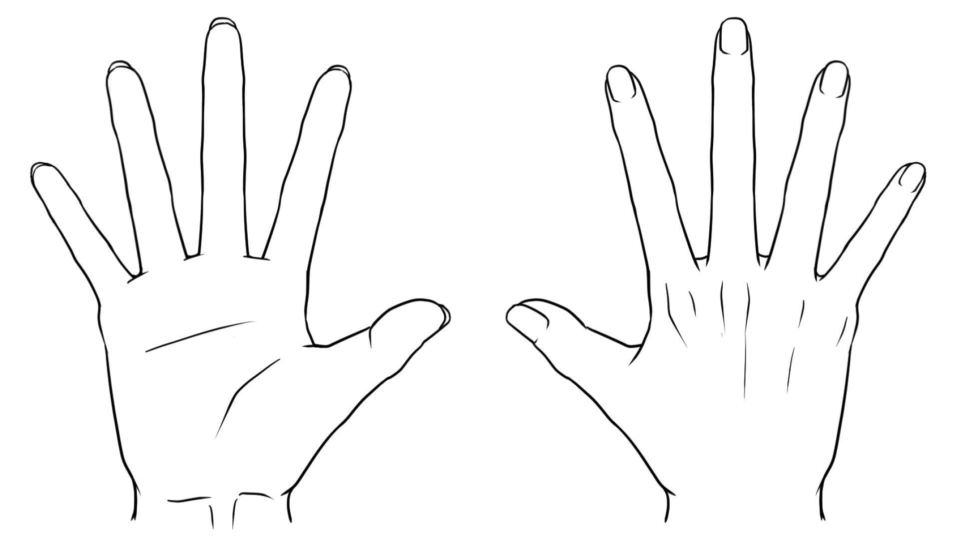 男性の手の特徴