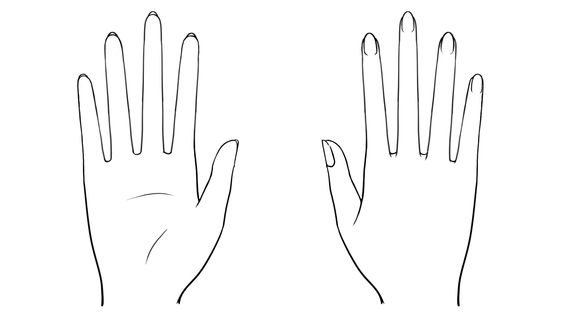 女性の手の特徴