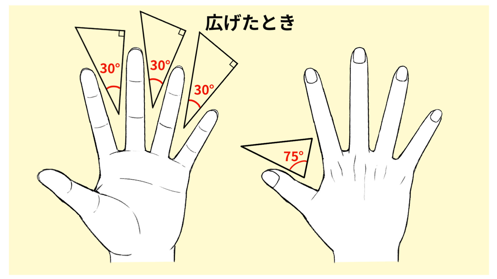 指の可動域を知ろう