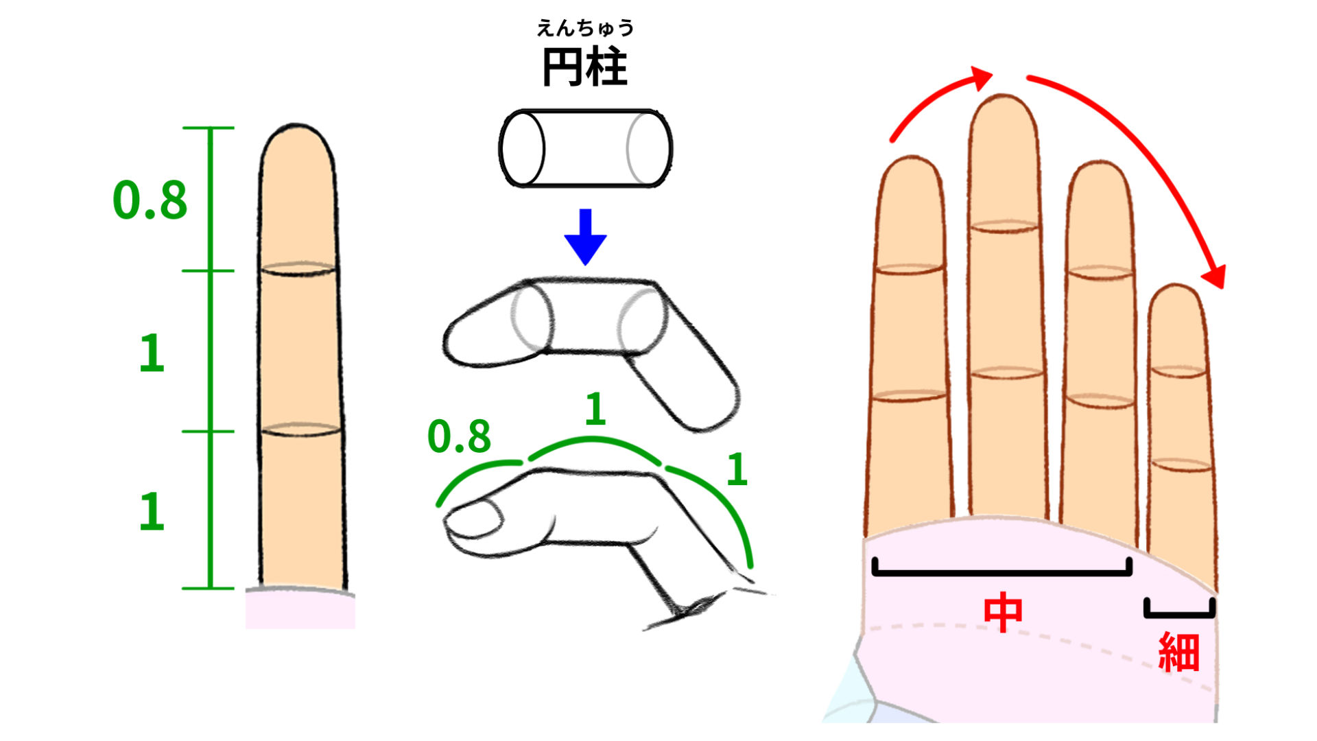 4本の指の特徴を知ろう