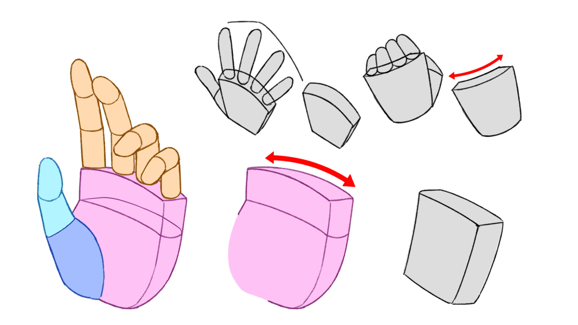 手のひらの特徴を知ろう