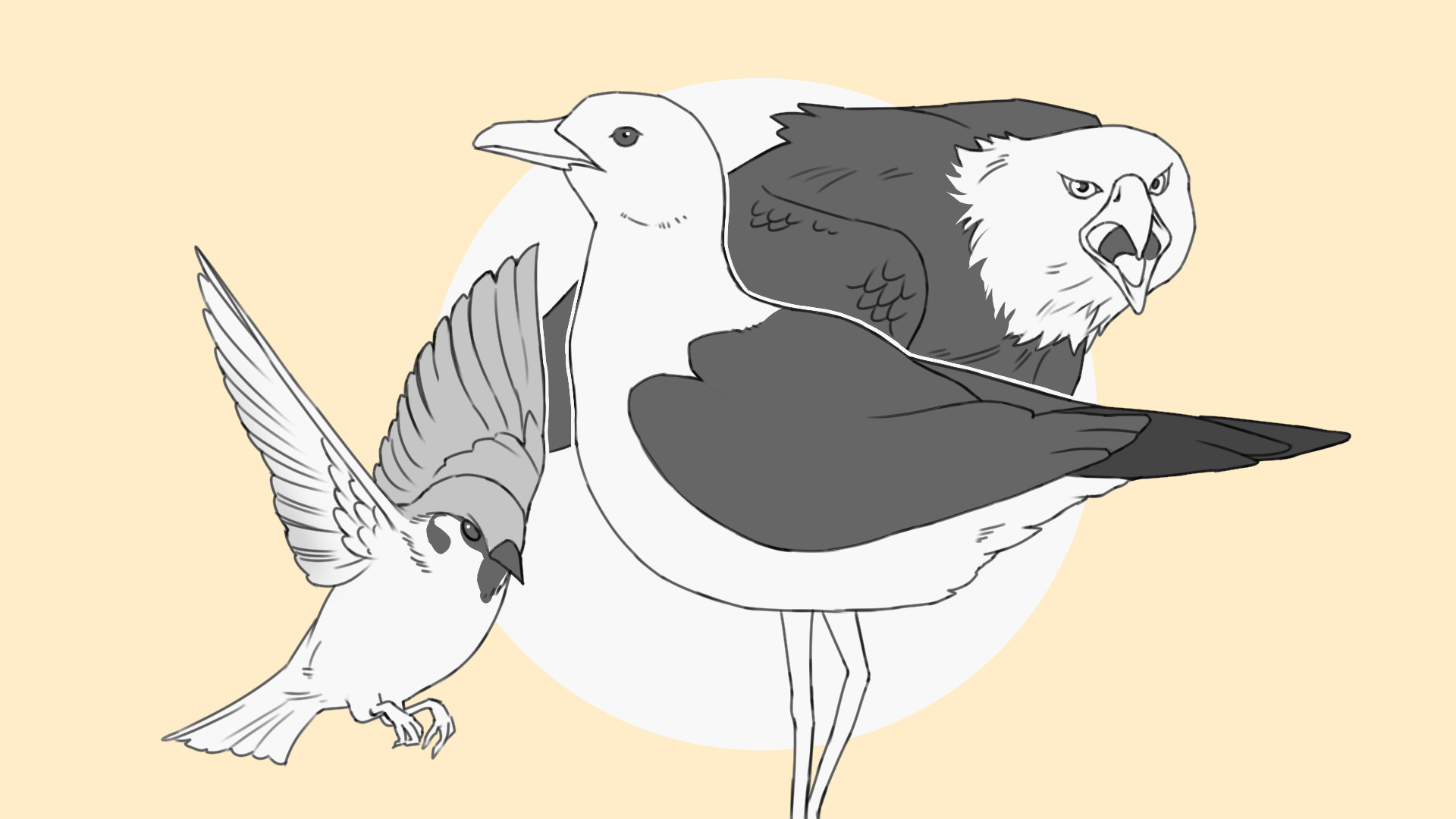 鳥のイラスト描き方を解説！上手に鳥の顔・体を描くコツとは