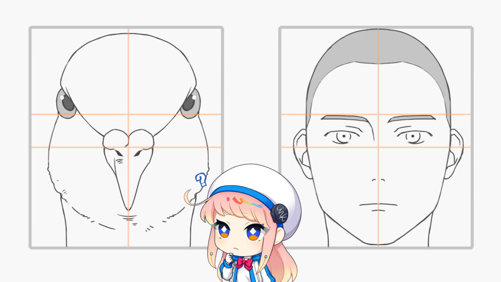 鳥の正面顔
