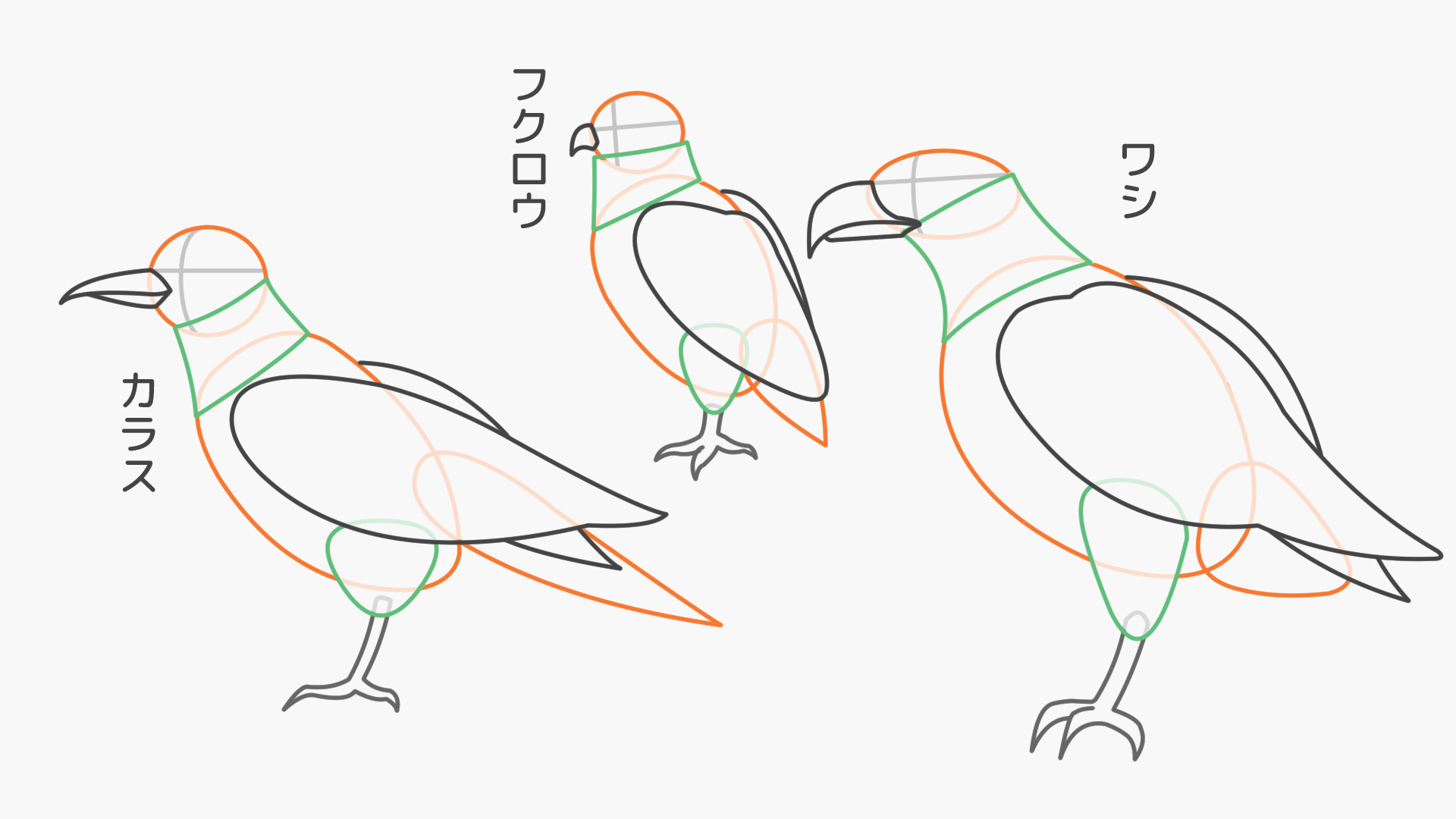 肉食の鳥類のアタリ