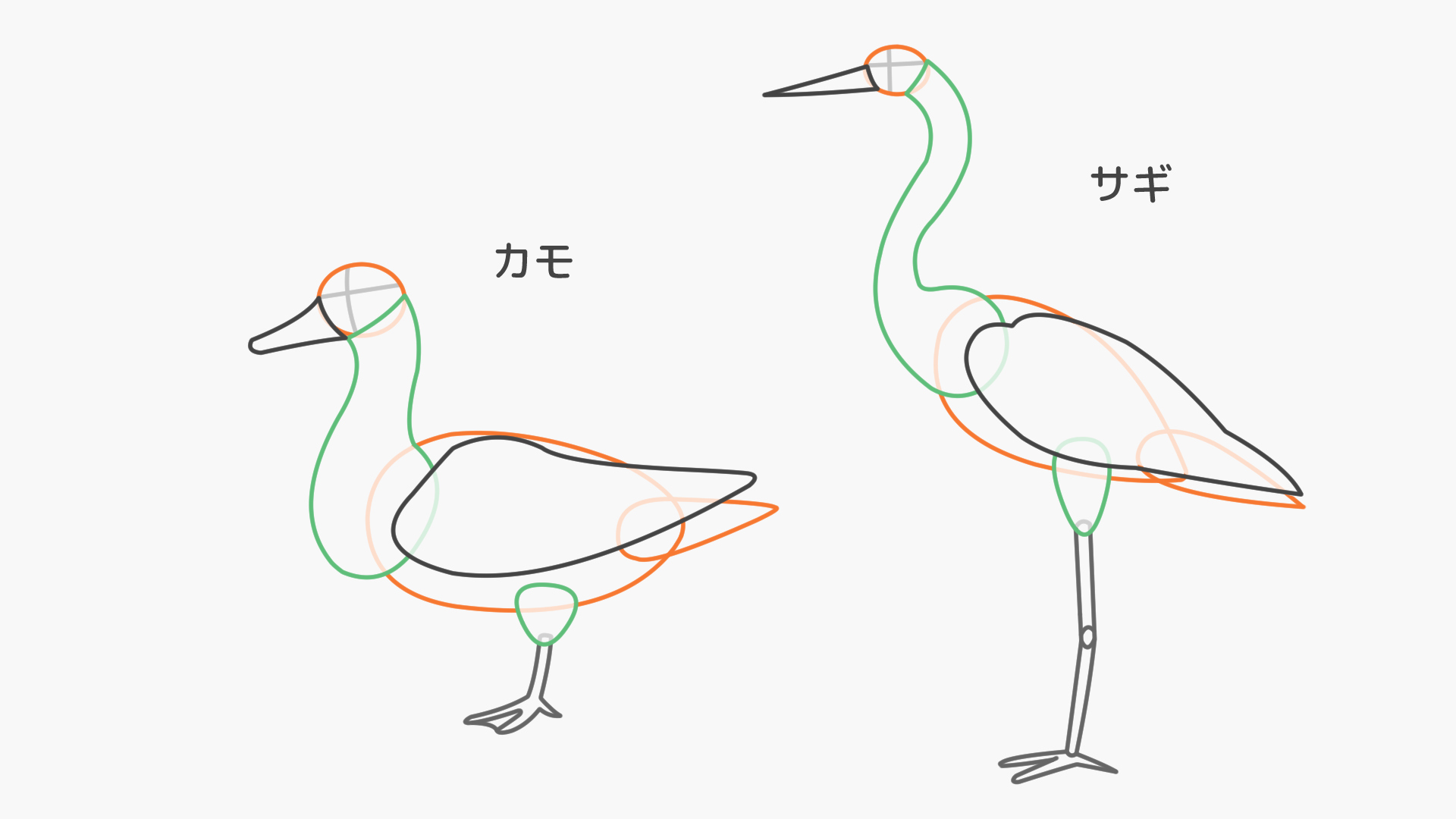 魚食の鳥類のアタリ
