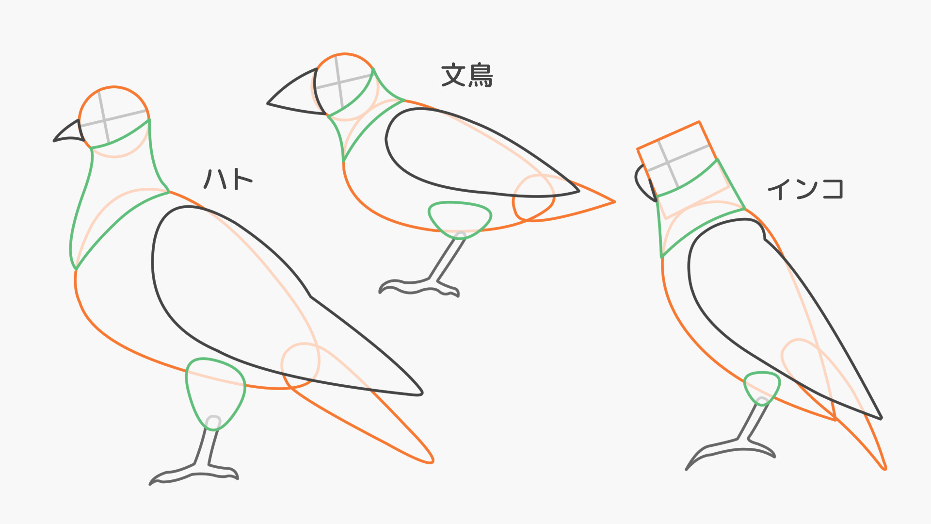 ハト科のアタリ
