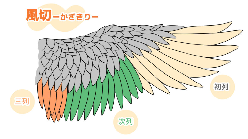 風切り羽