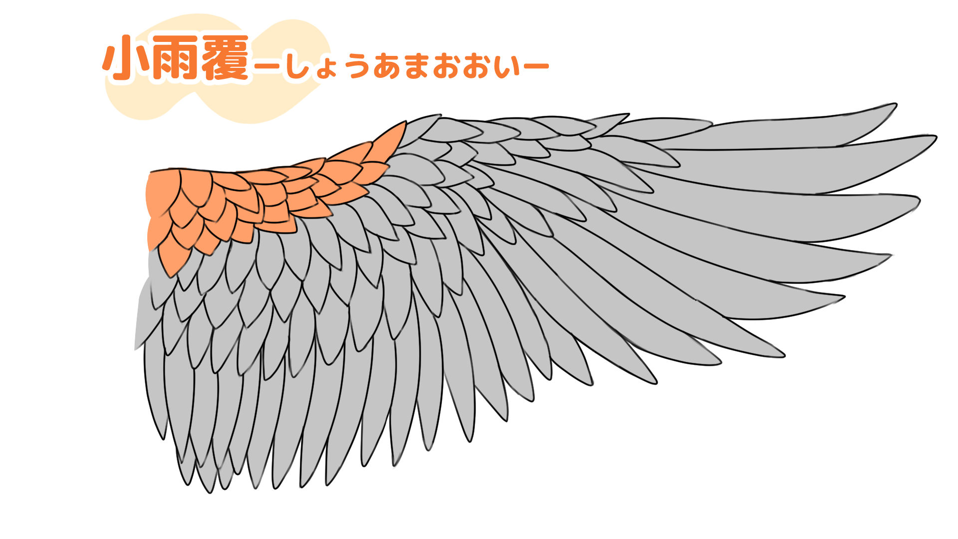 小雨覆(しょうあまおおい)