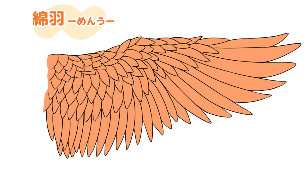 綿羽(めんう)