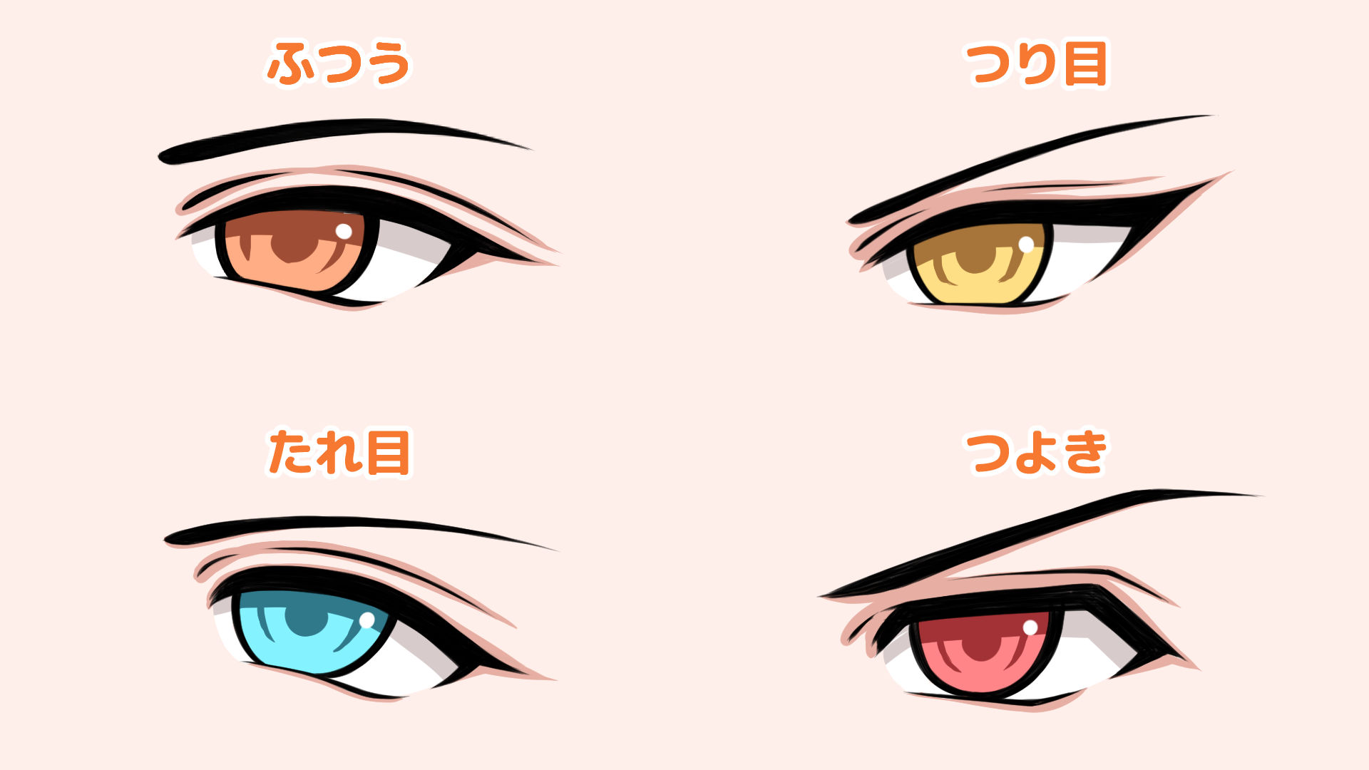 目の種類を知って描き分けよう