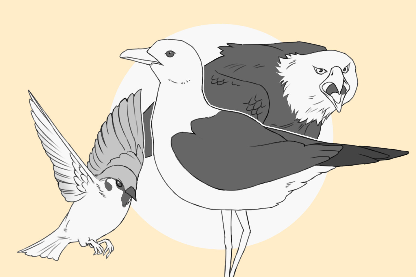 鳥のイラスト描き方を解説！上手に鳥の顔・体を描くコツとは