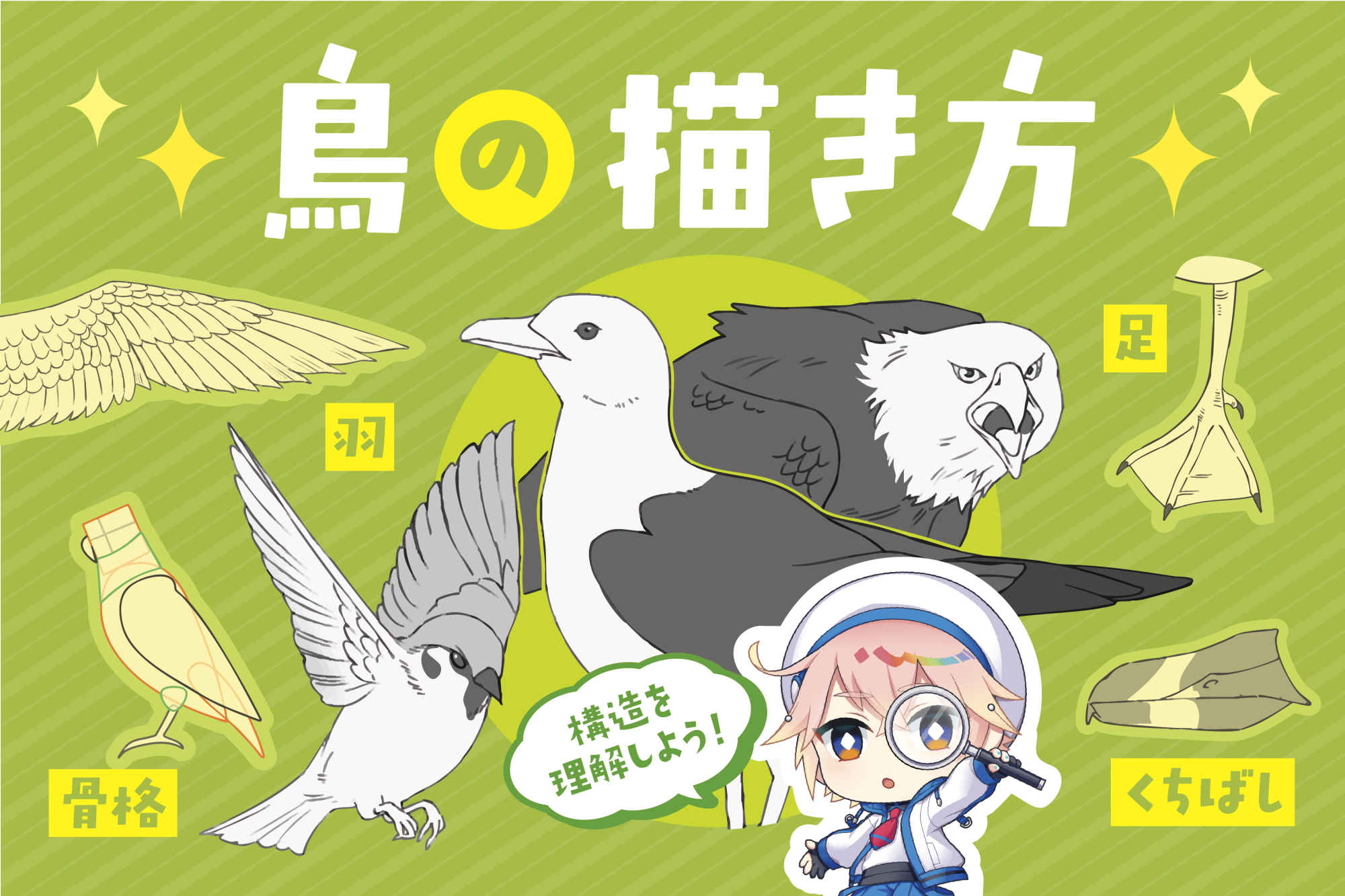 鳥のイラスト描き方を解説！上手に鳥の顔・体を描くコツとは