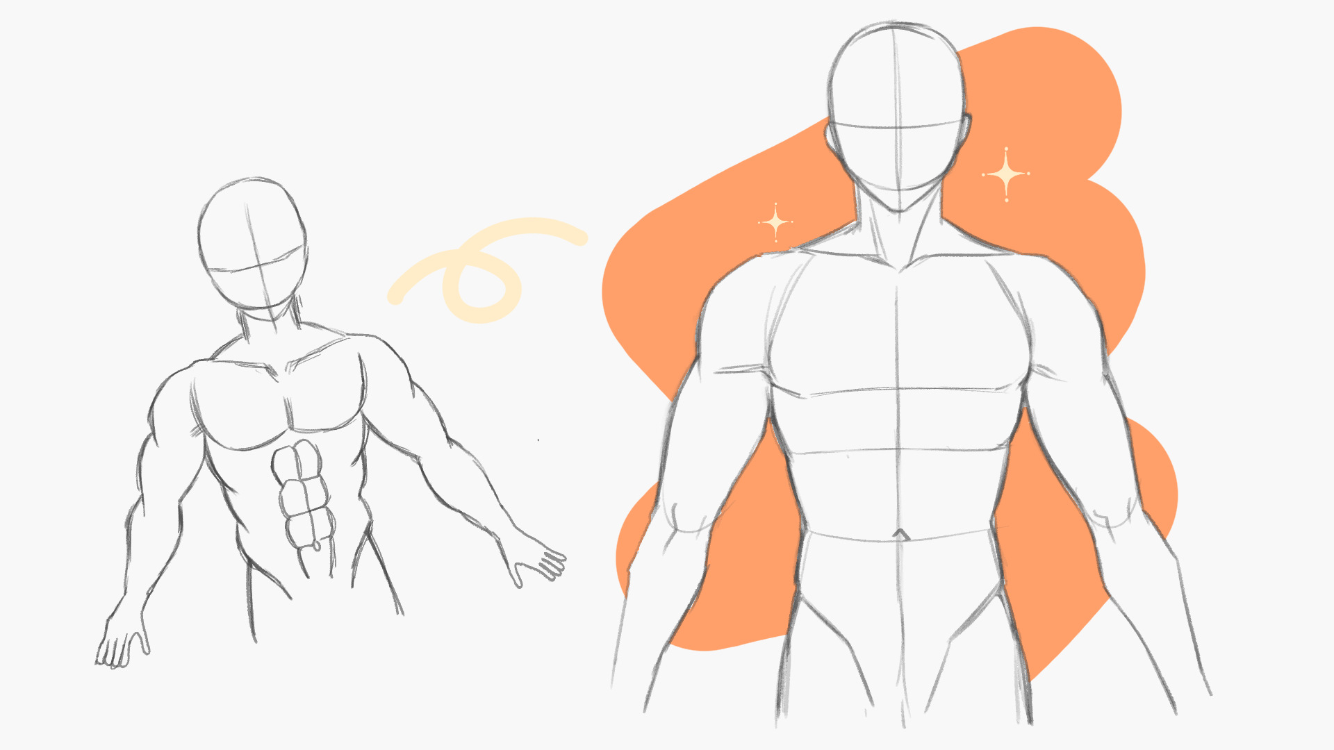 筋肉の描き方手順を解説