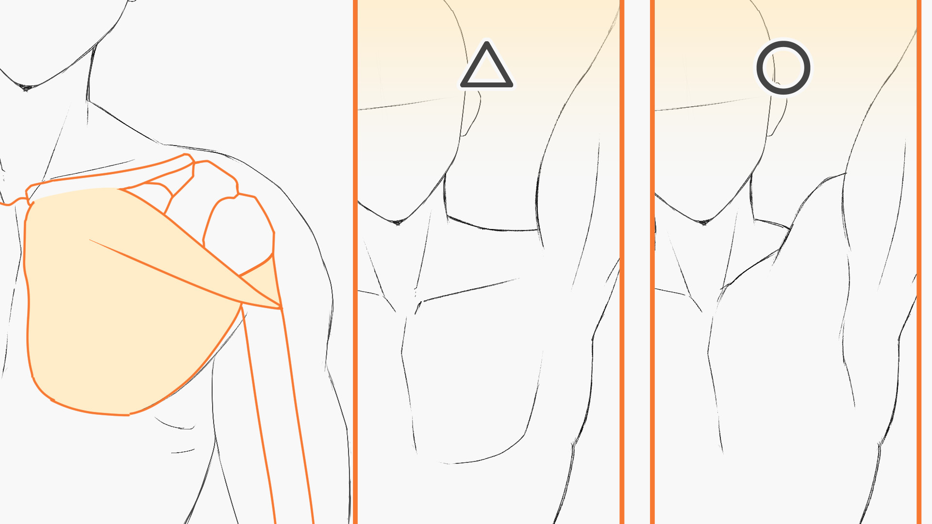 骨と筋肉を連動させる