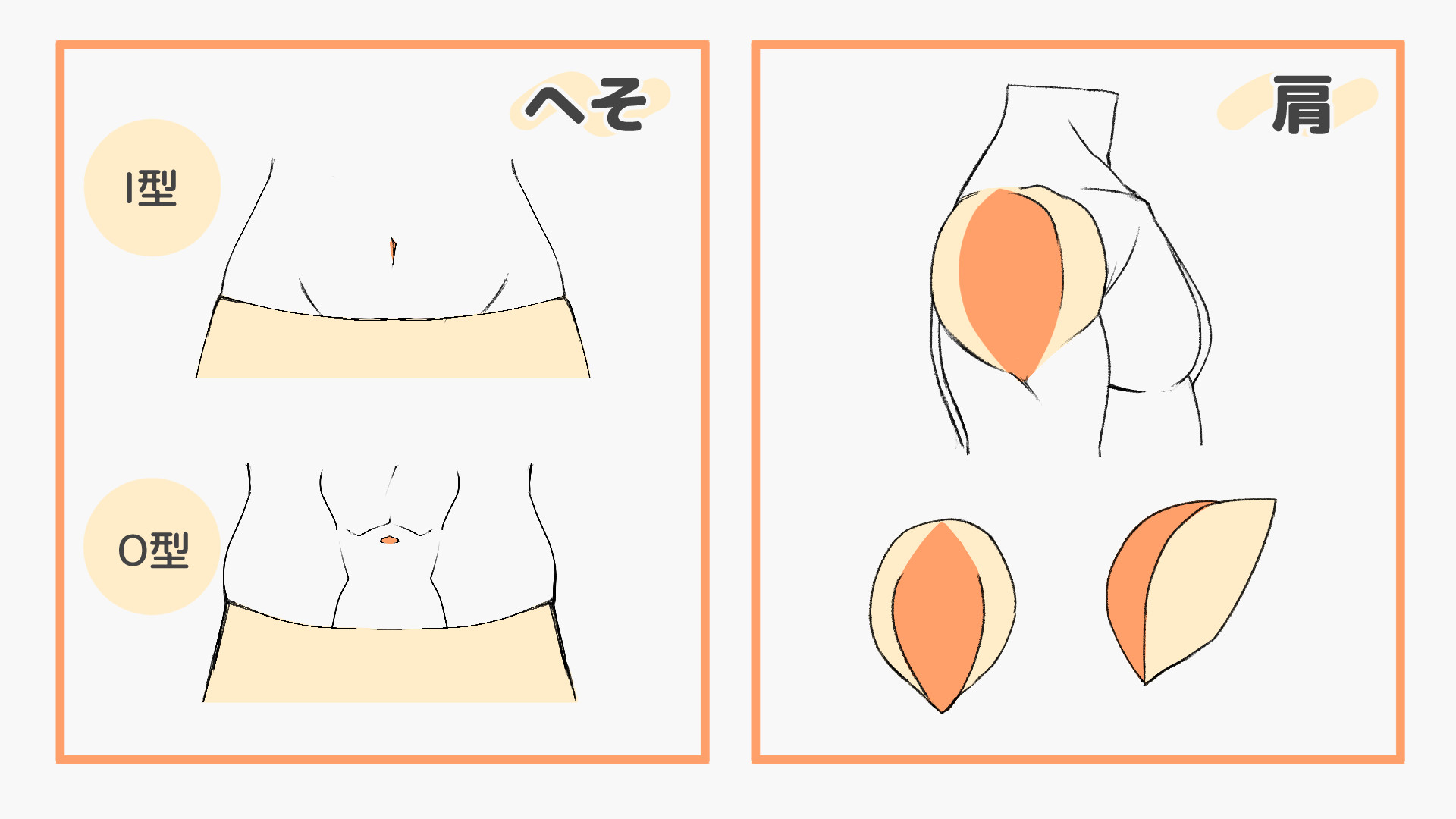 へそまわりや方の筋肉を置き換えて解説