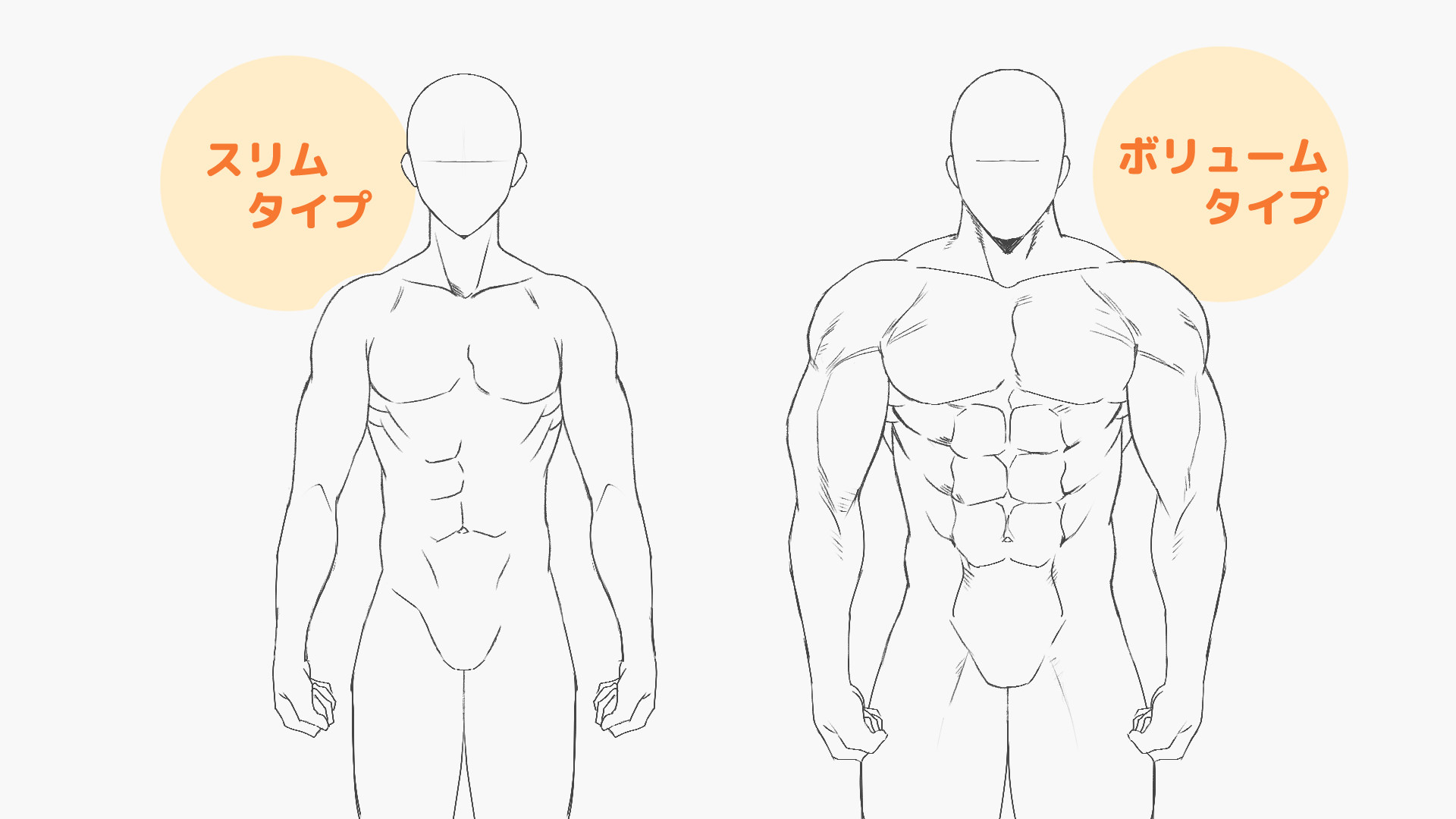 筋肉のタイプ別の違い