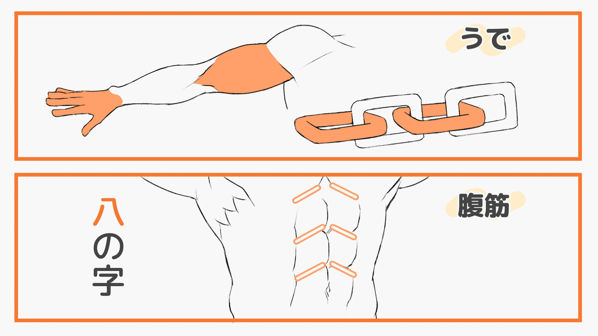 腕と腹筋の形を置き換えて図解説明