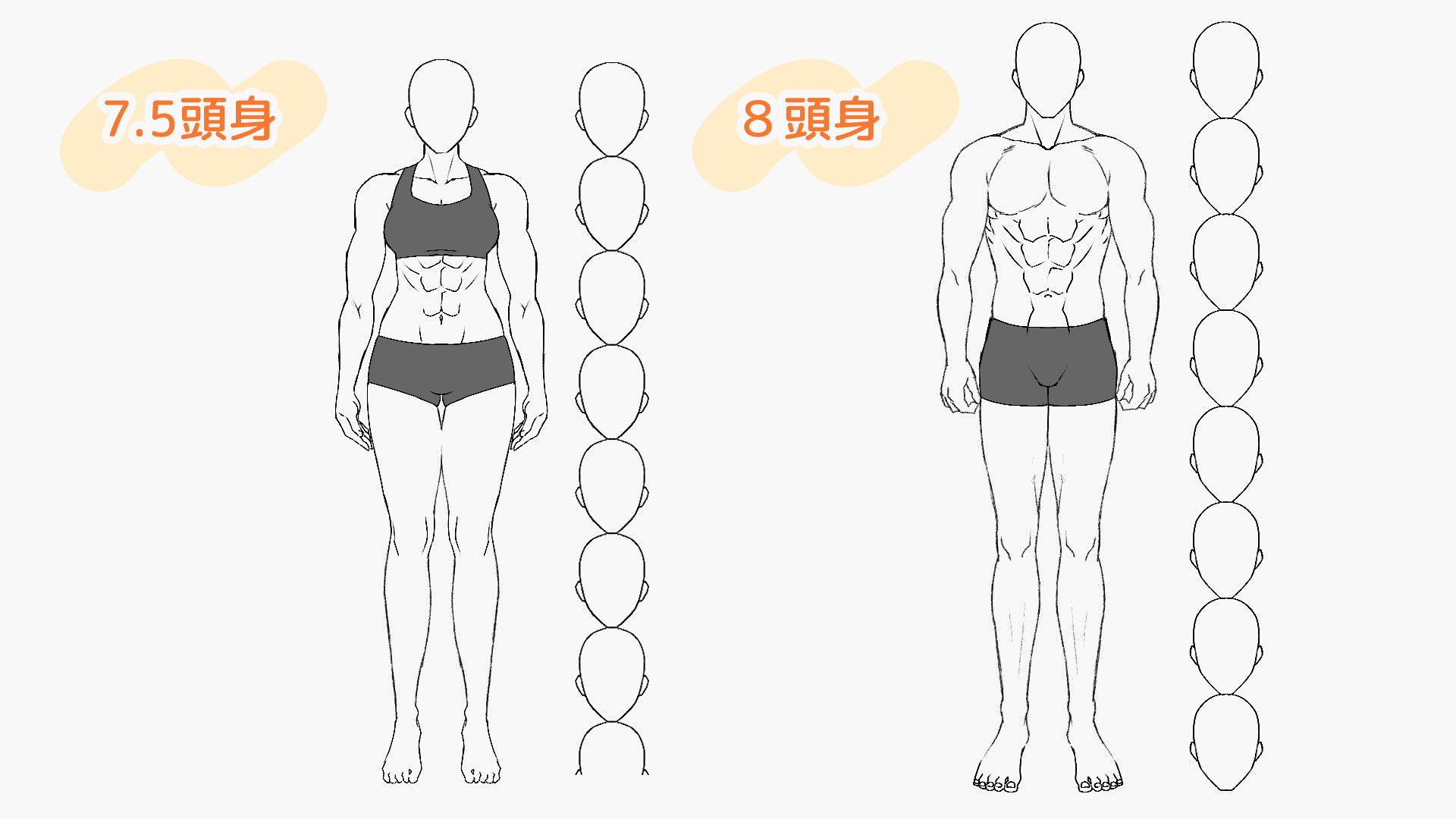 イラストの頭身を決めよう