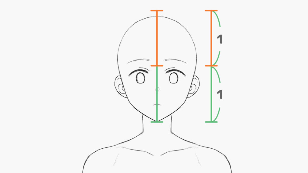 髪の毛のボリュームの比率を知ろう