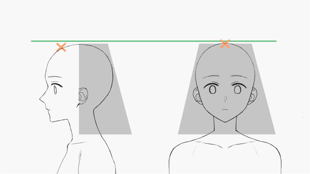 毛の曲線を描こう