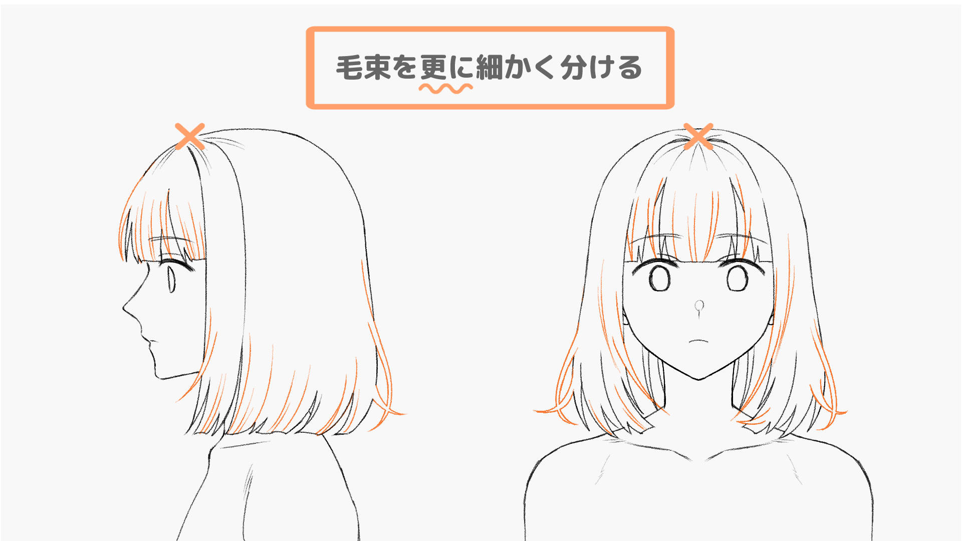 毛束を更に細かくわけた解説画像