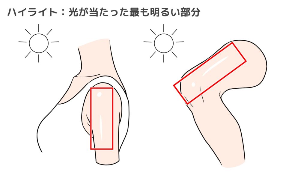 ハイライトは光が当たって最も明るい部分にできる