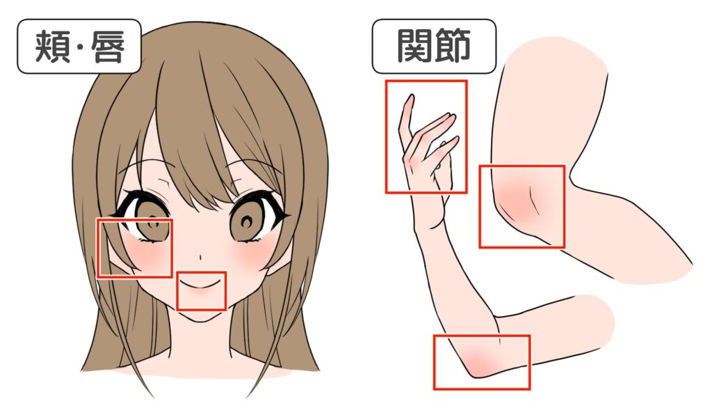 血色のある箇所と塗りのコツ