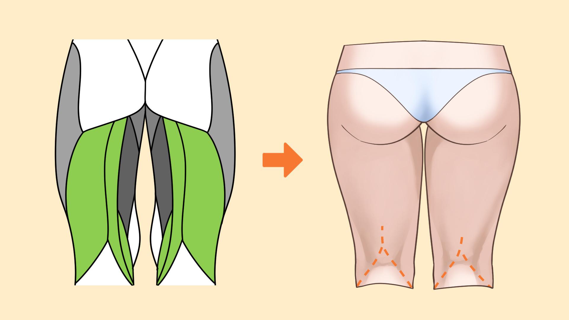 裏側のハムストリングス（手順画像 6）