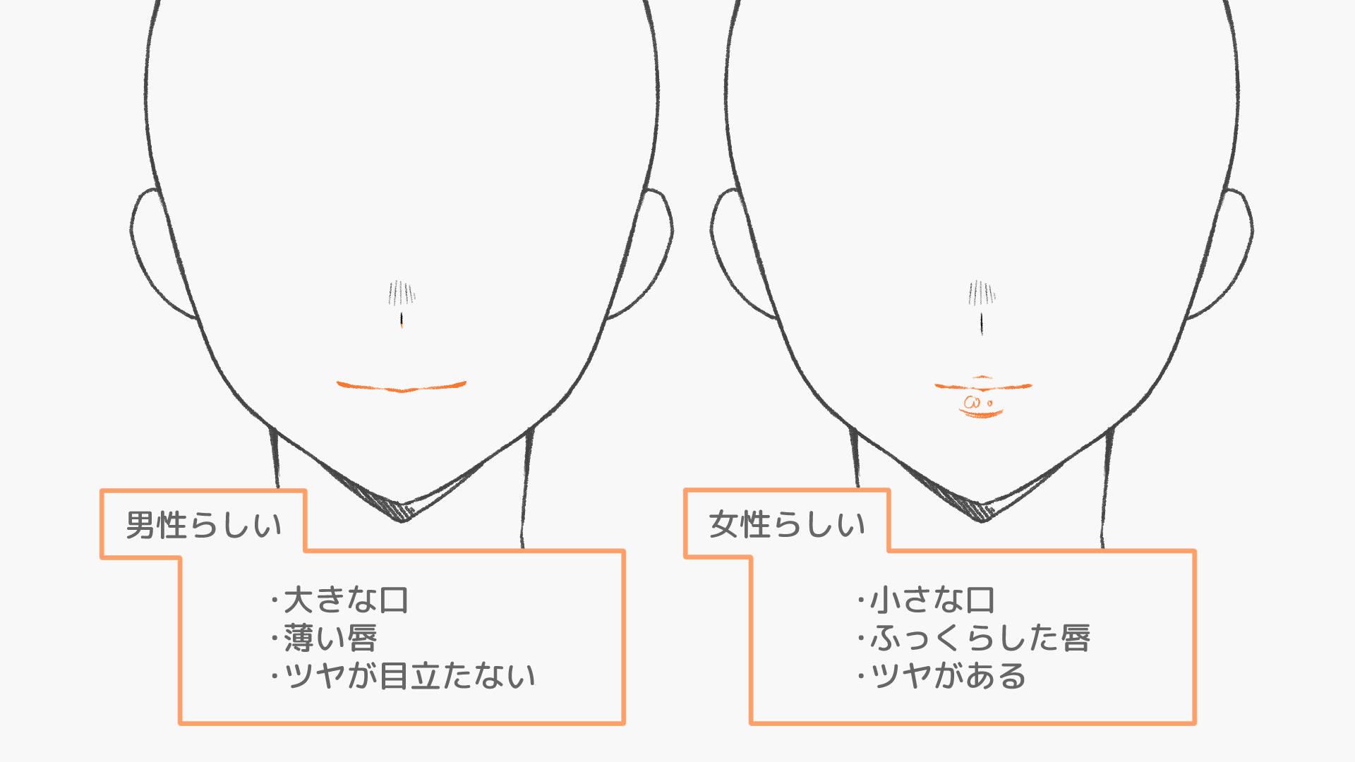 男女で違う口元の印象(手順画像 18)