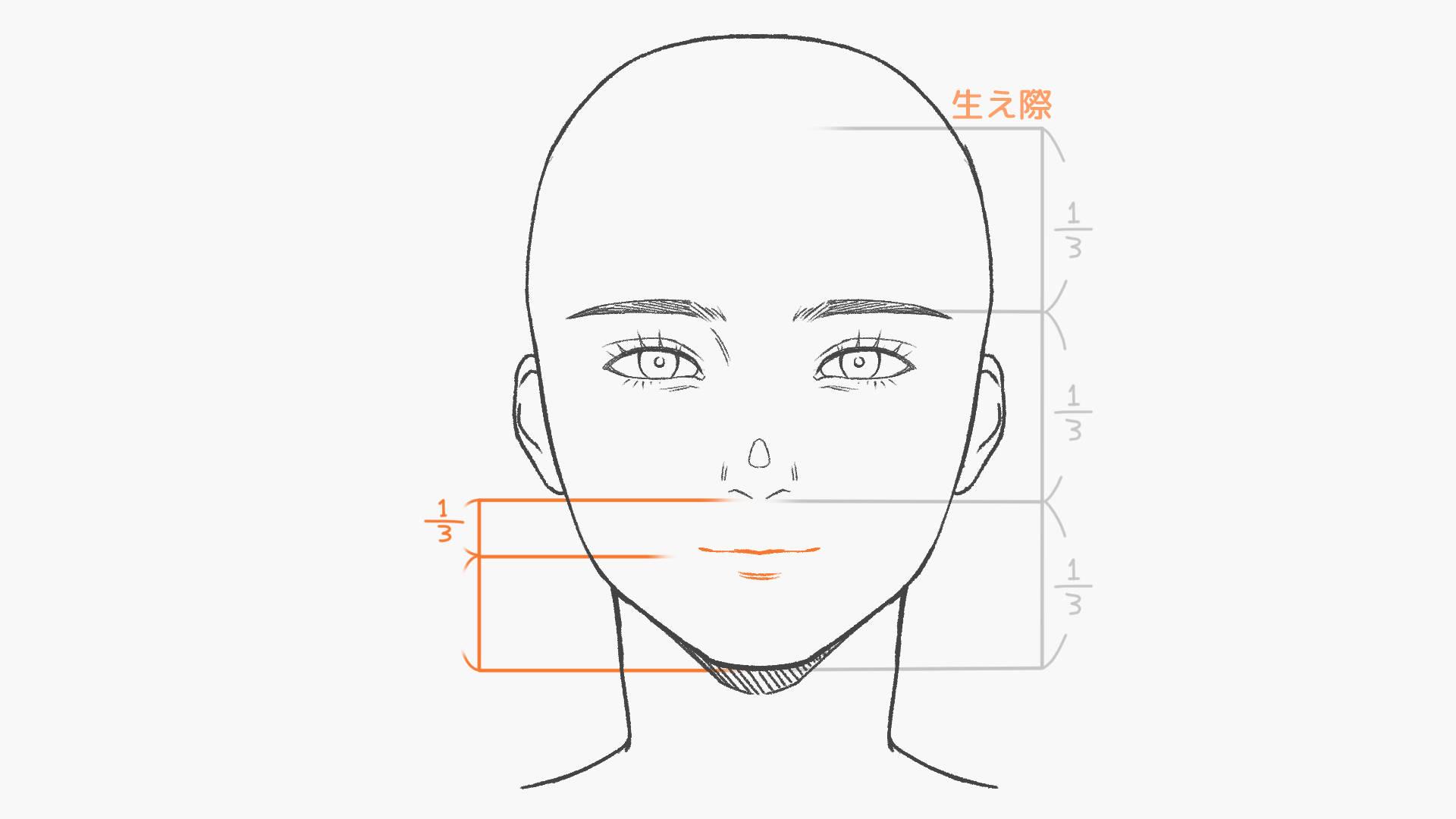 基本は鼻から顎先の3/1の黄金比(手順画像 4)